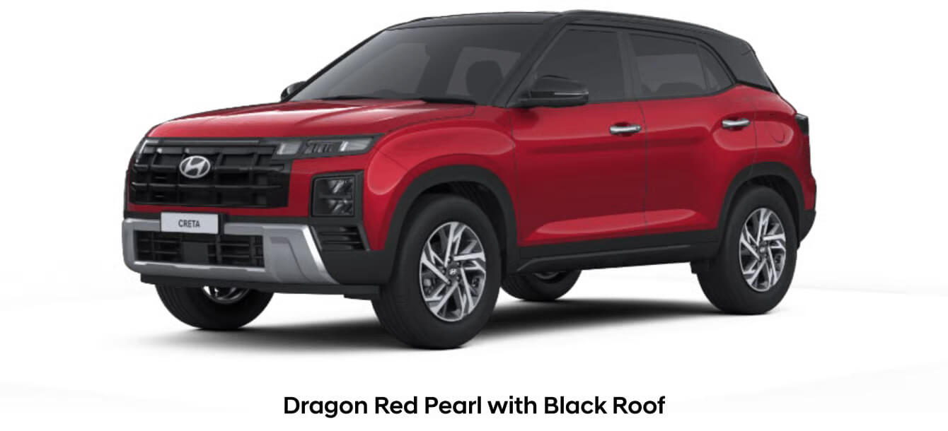 Dragon Red Black Roof16