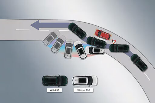 electronic stability electronic stability