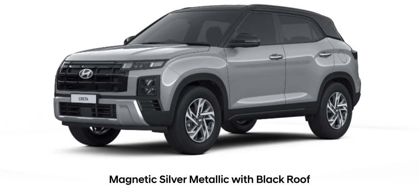 Magnetic silver metalic Black roof