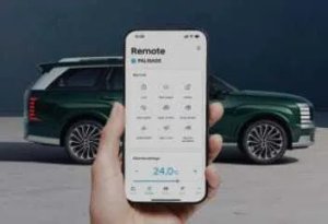 Remote Services