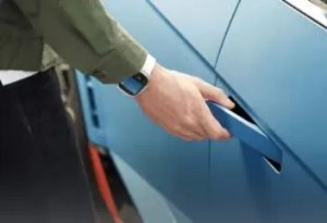 bluelink service digitalkey